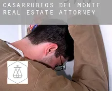 Casarrubios del Monte  real estate attorney