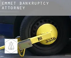 Emmet  bankruptcy attorney