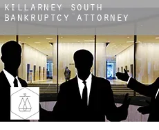 Killarney South  bankruptcy attorney