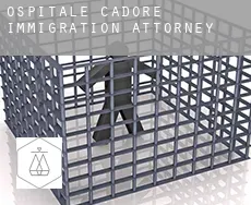 Ospitale di Cadore immigration attorney