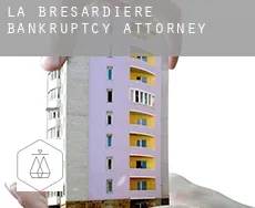 La Brésardière  bankruptcy attorney