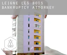 Leigné-les-Bois  bankruptcy attorney