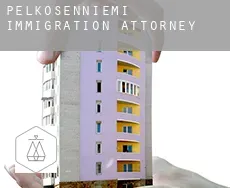 Pelkosenniemi immigration attorney