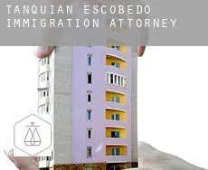 Tanquián Escobedo  immigration attorney