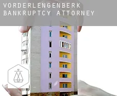 Vorderlengenberk  bankruptcy attorney