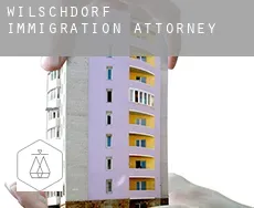 Wilschdorf immigration attorney