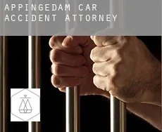 Appingedam  car accident attorney