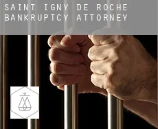Saint-Igny-de-Roche  bankruptcy attorney