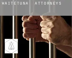 Waitetuna  attorneys