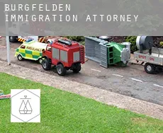 Burgfelden  immigration attorney