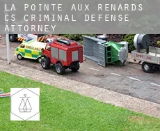 Pointe-aux-Renards (census area)  criminal defense attorney