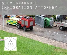Souvignargues immigration attorney