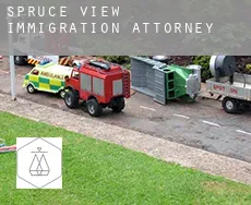 Spruce View  immigration attorney
