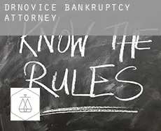 Drnovice  bankruptcy attorney