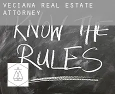 Veciana  real estate attorney