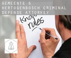 Gemeente 's-Hertogenbosch  criminal defense attorney