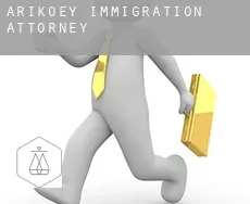 Arıköy immigration attorney