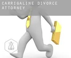 Carrigaline  divorce attorney