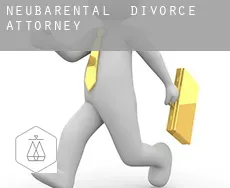 Neubärental  divorce attorney