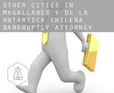 Other cities in Magallanes y de la Antartica Chilena  bankruptcy attorney