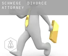 Schwege  divorce attorney