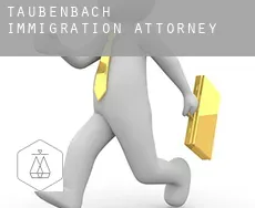 Taubenbach  immigration attorney