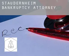 Staudernheim  bankruptcy attorney