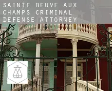 Sainte-Beuve-aux-Champs  criminal defense attorney