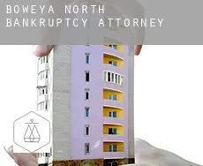 Boweya North bankruptcy attorney