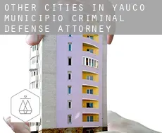 Other cities in Yauco Municipio  criminal defense attorney