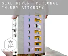 Seal River  personal injury attorney
