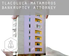 Tlacolula de Matamoros  bankruptcy attorney