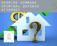 Herning Kommune criminal defense attorney