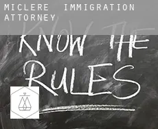 Miclere  immigration attorney