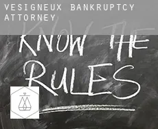 Vésigneux  bankruptcy attorney