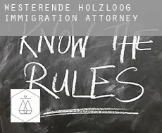 Westerende Holzloog  immigration attorney