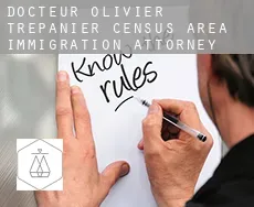 Docteur-Olivier-Trépanier (census area)  immigration attorney