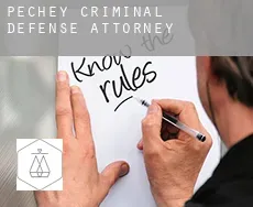 Pechey  criminal defense attorney