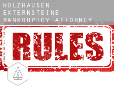 Holzhausen-Externsteine bankruptcy attorney