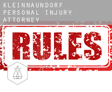 Kleinnaundorf  personal injury attorney