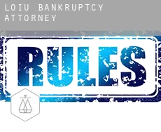 Loiu  bankruptcy attorney