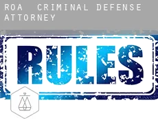 Roa  criminal defense attorney