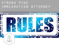 Strong Pine  immigration attorney
