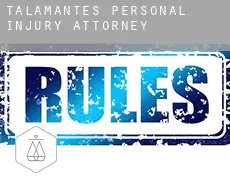 Talamantes  personal injury attorney