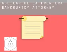 Aguilar de la Frontera  bankruptcy attorney