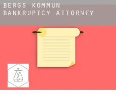 Bergs Kommun  bankruptcy attorney