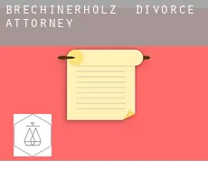 Brechinerholz divorce attorney