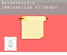 Büyükçavuşlu  immigration attorney