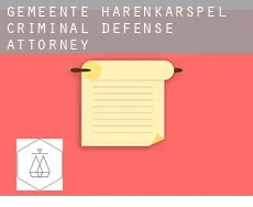 Gemeente Harenkarspel  criminal defense attorney