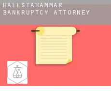 Hallstahammar  bankruptcy attorney